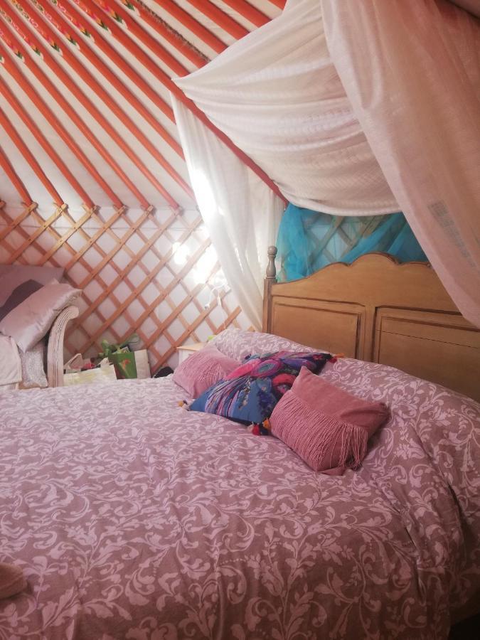 Готель Yurta De Arico Arico Viejo Екстер'єр фото